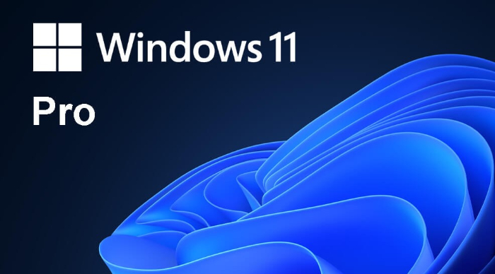 Bản Quyền Windows 11 Pro