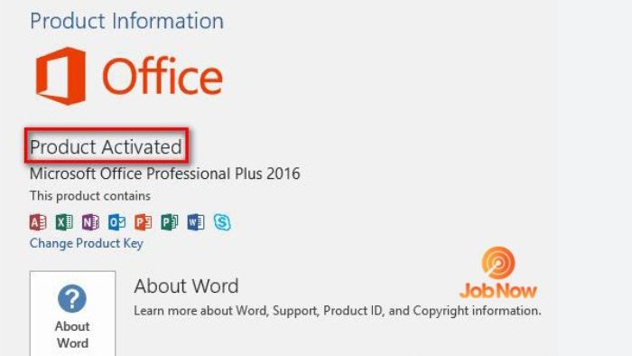 Office 2016 Professional Plus Giá Rẻ