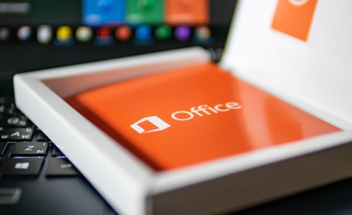 Office 2019 professional Plus