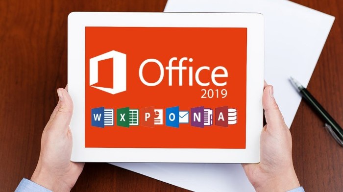 Office 2019 professional Plus