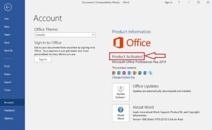 Office 2019 professional Plus