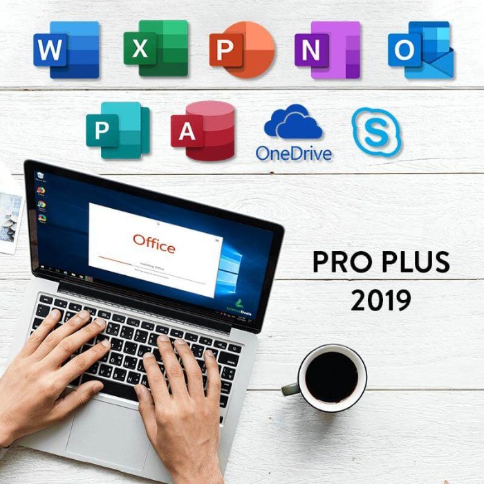 Office 2019 professional Plus