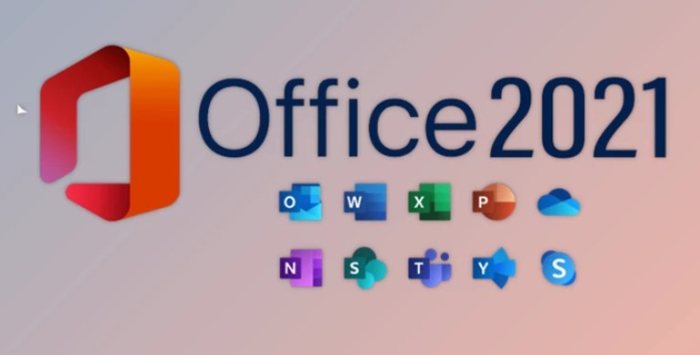 Office 2021 Professional Plus 1 PC