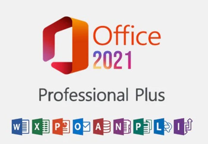 Office 2021 Professional Plus 1 PC