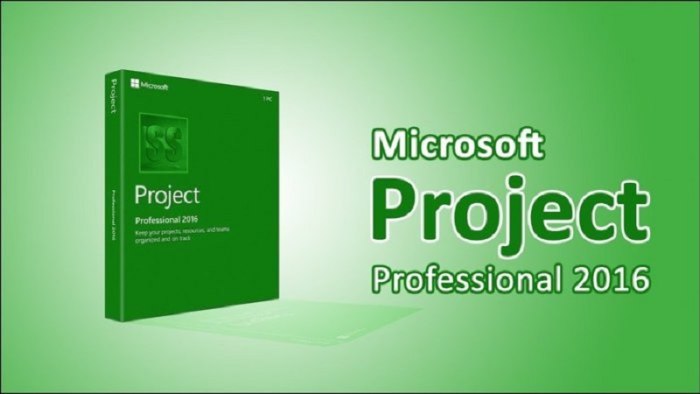 Key Microsoft Project 2016 Professional