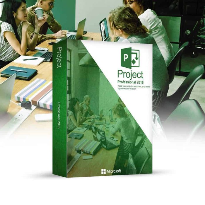 Key Microsoft Project 2016 Professional