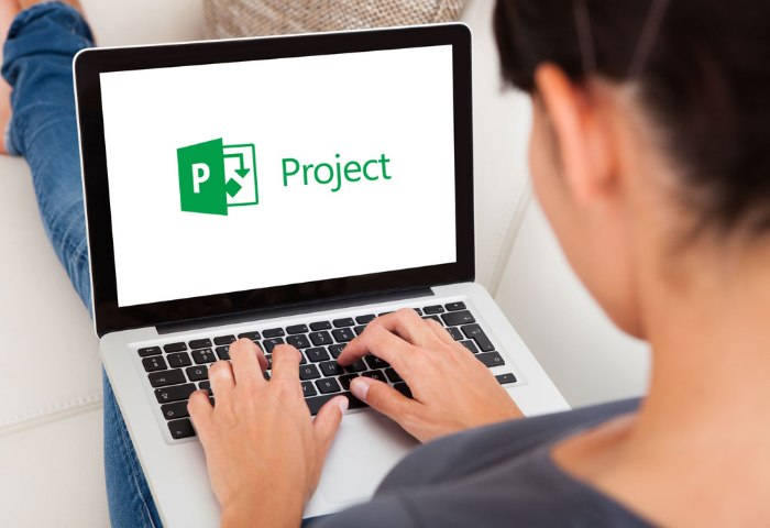 Key Microsoft Project 2016 Professional