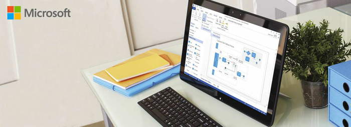 Key Microsoft Visio 2019 Professional