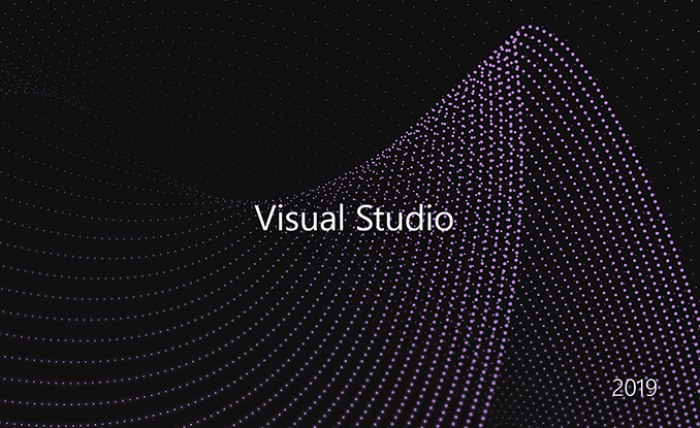 Key Visual Studio 2019 Professional