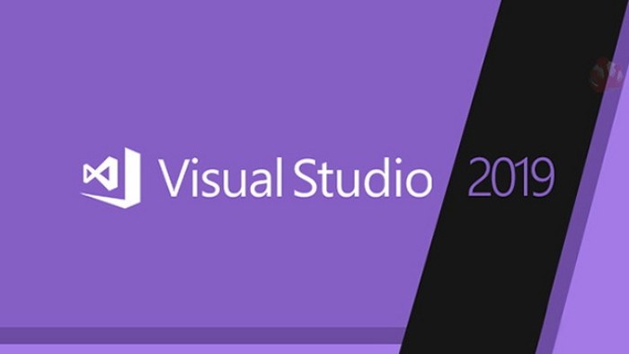 Key Visual Studio 2019 Professional