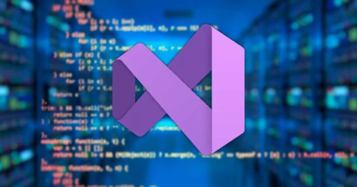 Key Visual Studio 2019 Professional