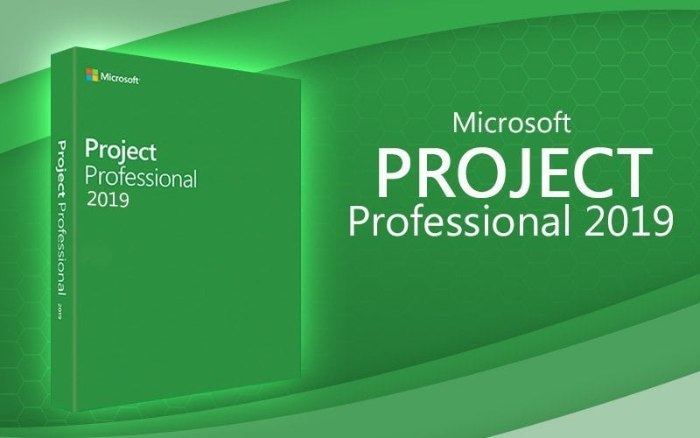 Project 2019 Professional