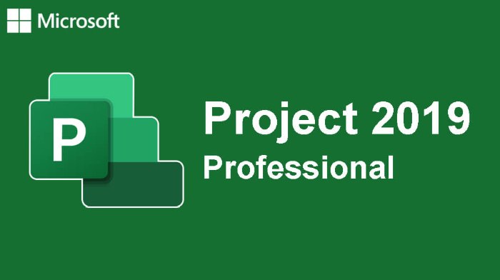 Project 2019 Professional