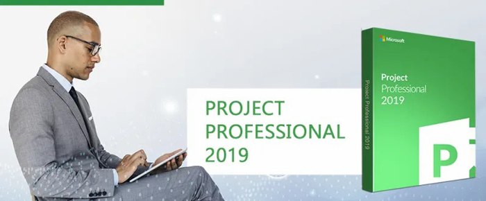 Project 2019 Professional